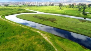Río Bogotá con verdes pastos